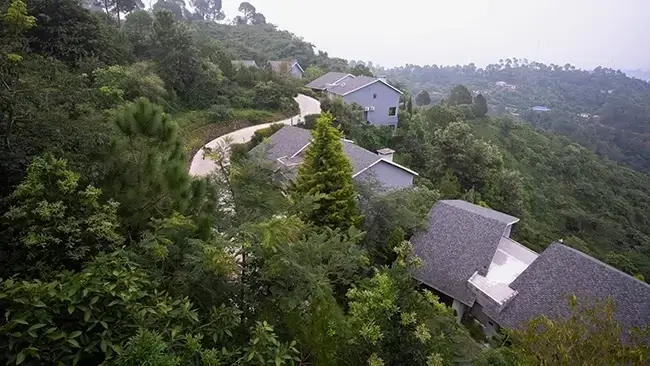 Estate 5 @ the friends-family